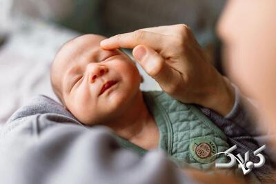  یک استراتژی علمی شگفت‌انگیز برای بقا | بهای سنگینی که برای «باهوش بودن» دادیم - مجله اینترنتی کولاک