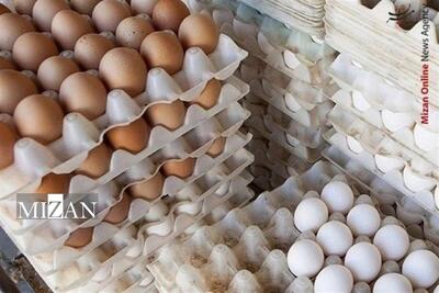  تولید ۳۳ درصد تخم‌مرغ کشور با حمایت دادگستری استان گلستان/ ۸۰ تُن افزایش تولید روزانه و ۴۸۰ شغل جدید