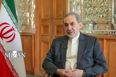  ولایتی: ایران اسلامی فقط در دفاع از خود دست به سلاح برده است