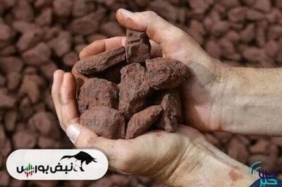  توقف فعالیت ریوتینتو در سیماندو/ حادثه مرگبار، پروژه بزرگ سنگ‌آهن را متوقف کرد