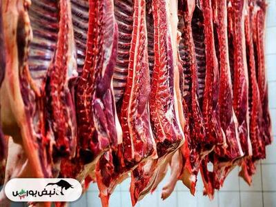  قیمت گوشت قرمز کاهشی شد