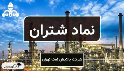  افزایش سرمایه ۲۱ درصدی شتران | نوبت رشد شتران است؟
