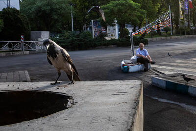  جامعه ایران در گرداب استیصال