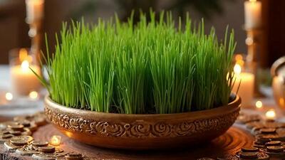  راهنمای انتخاب ظرف سبزه عید نوروز | ایده های خلاقانه و شیک