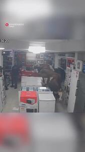  فیلم ورود ناگهانی گاوها به فروشگاه لوازم خانگی