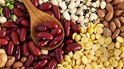  لپه و عدس گران شدند / قیمت‌ حبوبات سر به فلک کشید