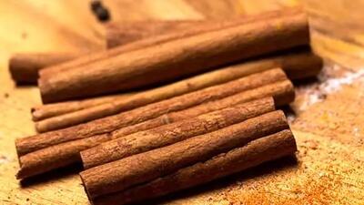  چگونه دارچین اصل را از تقلبی تشخیص دهیم؟ / دارچین هندی یا چینی؟!