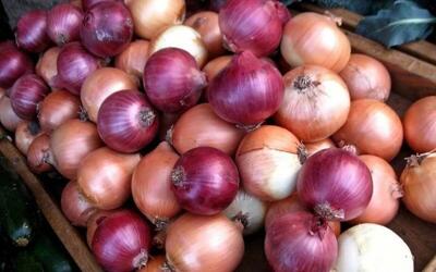  قیمت امروز میوه و تره‌بار در مشهد (۳ اسفند ۱۴۰۴) | پیاز کیلویی چند؟