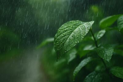  بارش‌های امسال همچنان زیر نرمال