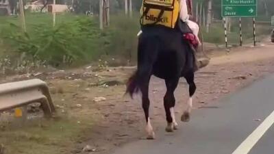  در ایالت راجستان هند، پیک‌ها سفارش‌ها را با اسب تحویل می‌دهند