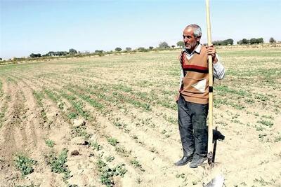  پرداخت کمک بلاعوض آبیاری به کشاورزان سمنان