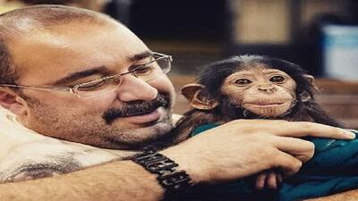  از پانچ تا شامپانزه ارم؛ وقتی دلسوزی بدون درک، به تراژدی ختم می‌شود