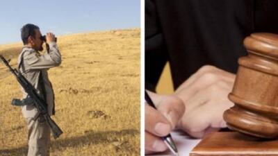  افزایش محسوس برخورد با تخلفات زیست‌محیطی در کردستان؛ دستگیری ۴۵۴ متخلف در یازده‌ماهه امسال
