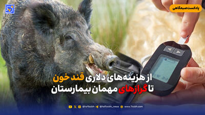  از هزینه‌های دلاری قند خون تا گرازهای مهمان بیمارستان
