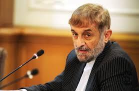  نظر آقامحمدی درباره جزیره اپستین