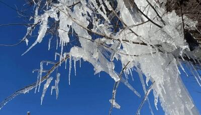  سرما و یخبندان در راه نیشابور