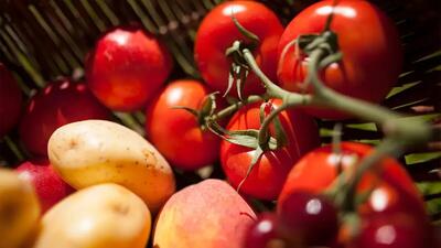  آیا گوجه‌فرنگی کلید سلامت لثه در سالمندان است؟