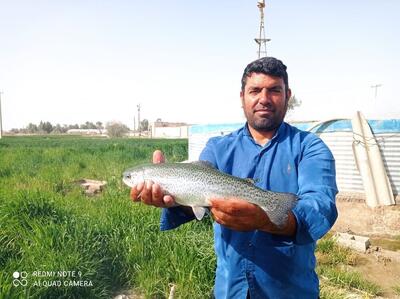  آیا زهک قطب تولید ماهی سیستان و بلوچستان است؟
