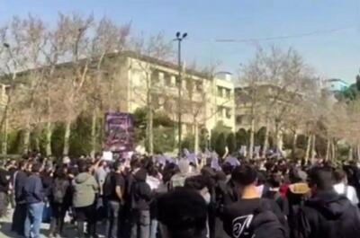  وزارت علوم: با رفتار‌های ساختارشکنانه دانشجویان از جمله فحاشی، برخورد می‌شود