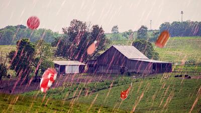  داستان باران گوشت در ایالت کنتاکی آمریکا | گیمفا