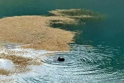  غرق شدن دختر جوان در دریاچه کیو خرم‌آباد