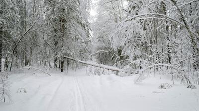  وضعیت هوای فردا البرز و کرج سه شنبه ۵ اسفند ۱۴۰۴ | پیش بینی آب و هوای کرج در ۲۴ ساعت آینده + هواشناسی کرج