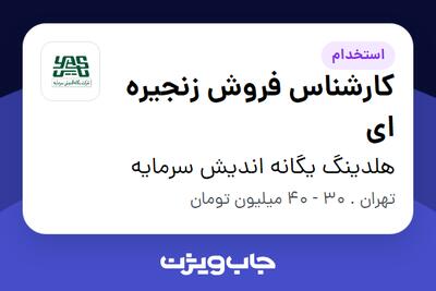  استخدام کارشناس فروش زنجیره ای در هلدینگ یگانه اندیش سرمایه