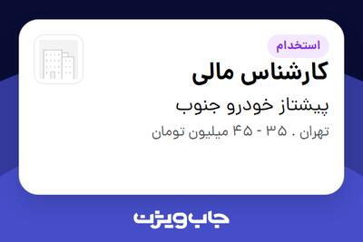  استخدام کارشناس مالی - خانم در پیشتاز خودرو جنوب