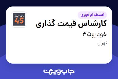  استخدام کارشناس قیمت گذاری در خودرو45