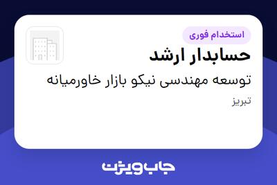  استخدام حسابدار ارشد در توسعه مهندسی نیکو بازار خاورمیانه