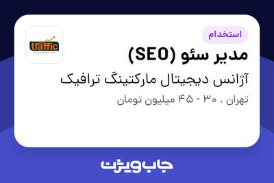  استخدام مدیر سئو (SEO) در آژانس دیجیتال مارکتینگ ترافیک