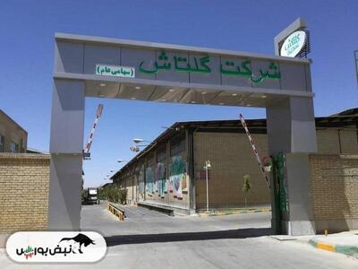  کارنامه ۱ ماهه شگل منتشر شد