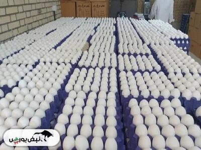  قیمت هرکیلو تخم مرغ درب مرغداری به ۱۰۰ هزارتومان رسید