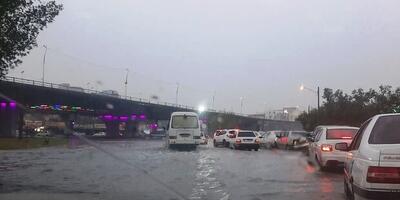  هواشناسی مازندران هشدار زرد صادر کرد؛ سامانه بارشی در مسیر استان