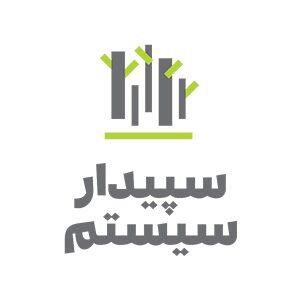  ترمز «سپیدار» با افت 18 درصدی درآمدها کشیده شد