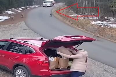  معماری طبیعت؛ گرگ ها پای خانومه رو غنیمت گرفتن