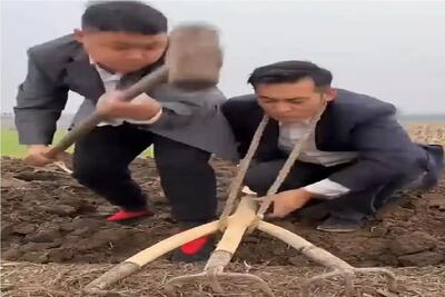  کشاورزی نوین؛ چشم بادومی ها مرزهای شخم رو جا به جا کردن
