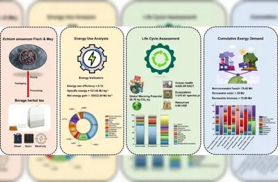  ارائه سه راهبرد برای گذار به کشاورزی مکانیزه و پایدار در زنجیره تولید گل‌گاوزبان ایرانی