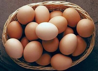  قیمت تخم مرغ امروز دوشنبه 4 اسفند 1404/ تخم مرغ کیلویی چند؟