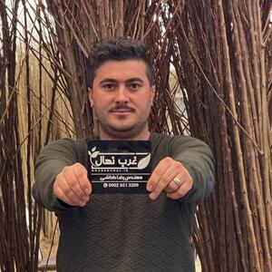  فرصت محدود برای خرید نهال صنوبر یارانه‌ای فقط 7 هزار تومان تا 10 اسفند