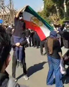  دانشجو شریف و امیرکبیر