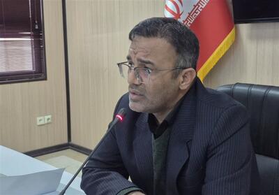  تأیید صلاحیت 87 درصد داوطلبان شوراهای شهر و روستای خراسان جنوبی - تسنیم