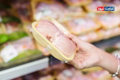  قیمت‌گذاری مرغ و تخم‌مرغ در کنار آزادسازی ارز واردات نهاده‌های دام و طیور، امری متناقض است