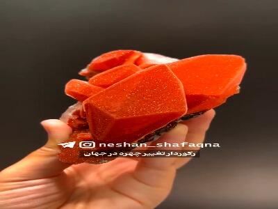  رکورددار تغییر چهره در جهان