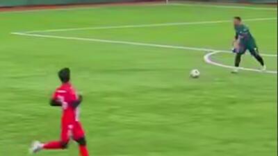  اتفاقی نادر در فوتبال؛ برخورد توپ با مرغ دریایی !