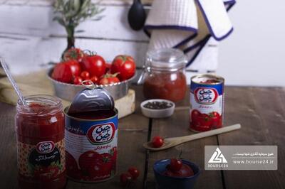  مجوز افزایش سرمایه «غچین» صادر شد