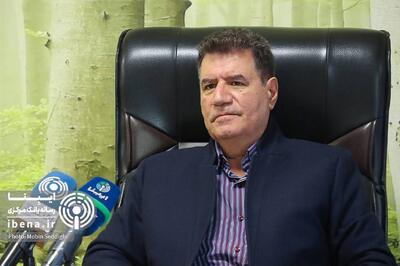  ارز ترجیحی، زیان پنهان اقتصاد