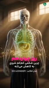  اگر سی‌روز روزه بگیریم، در بدنمان چه اتفاقی می افتد؟