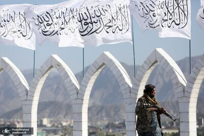  طالبان ساخت «کرسی» را ممنوع کرد