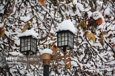  هشدار بارش برف و باران در ۱۸ استان از امروز